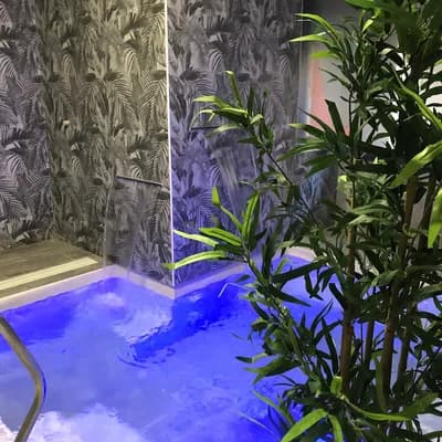 Fenix Sauna Milano