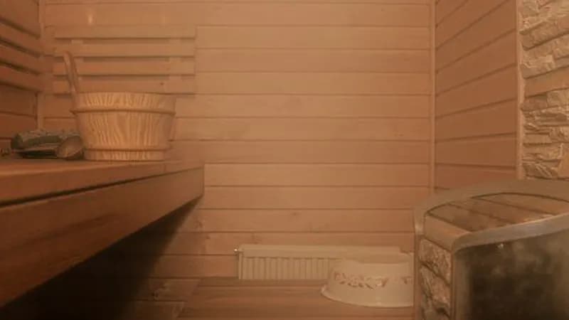 Dolphin Sauna