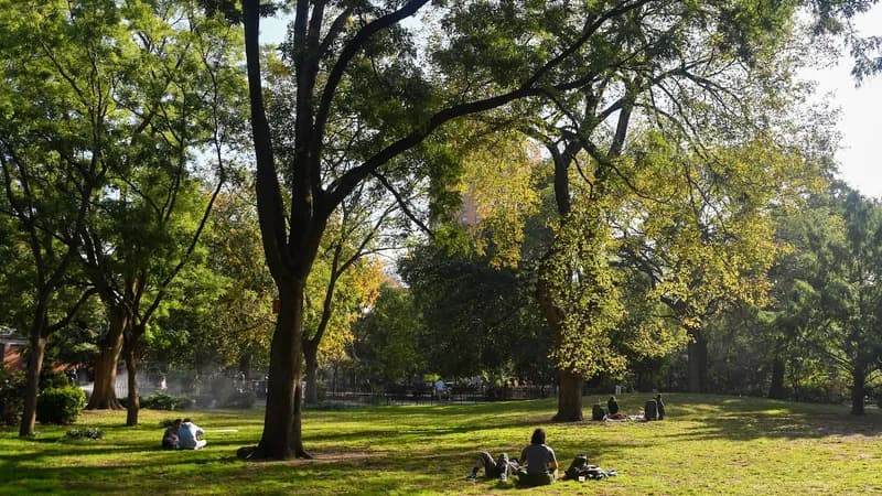 Tompkins Square Park