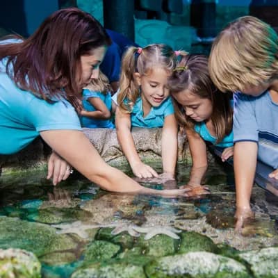 SEA LIFE San Antonio
