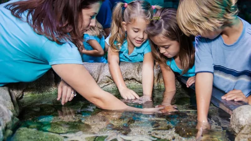 SEA LIFE San Antonio