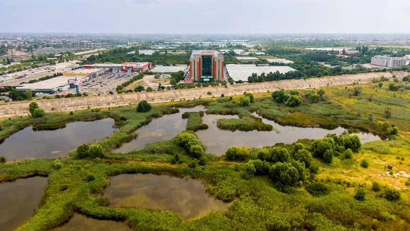 Rin Grand Residence