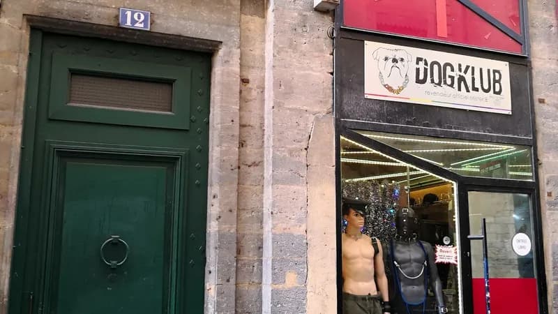 DogKlub