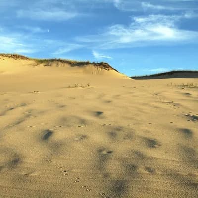 Art's Dune Tours