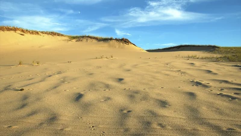 Art's Dune Tours