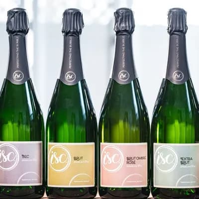 Illinois Sparkling Co.