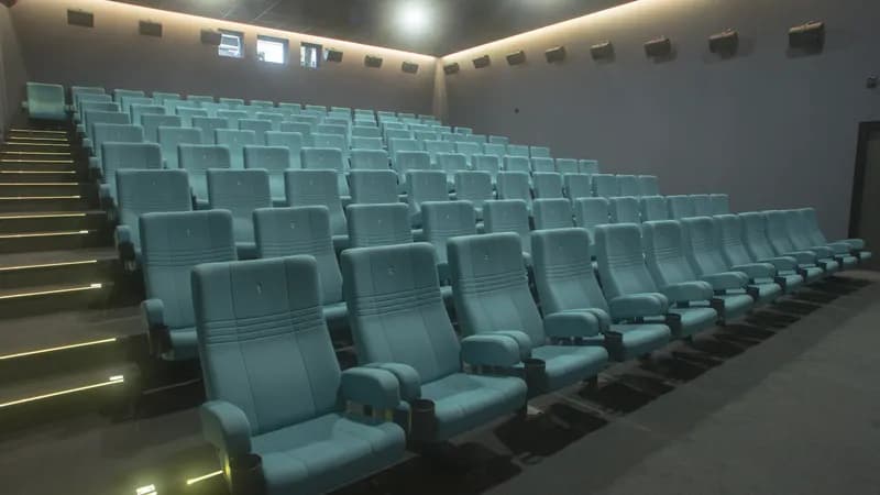 Cinéma en plein air d'été : Il était une fois… à Hollywood