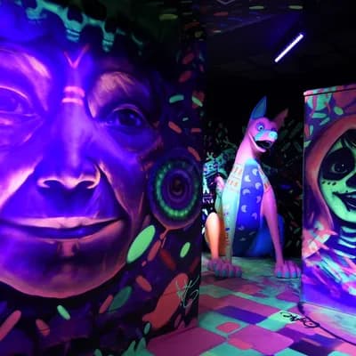 Discoteca Calle 365 Alicante