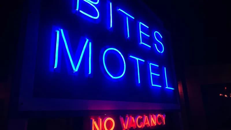 Bite the Fly Escape Room