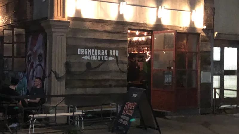 Dromedary: Coming Out