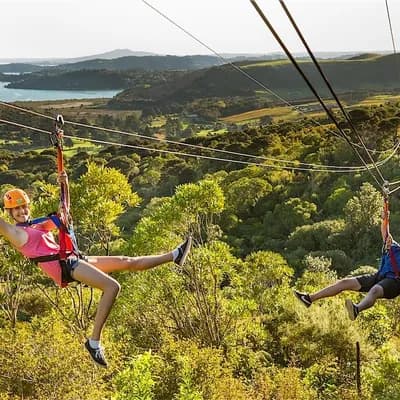 EcoZip Adventures