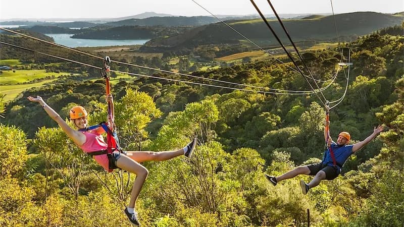 EcoZip Adventures