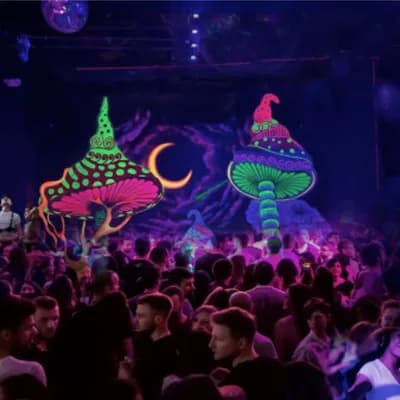 Toxic Night Club