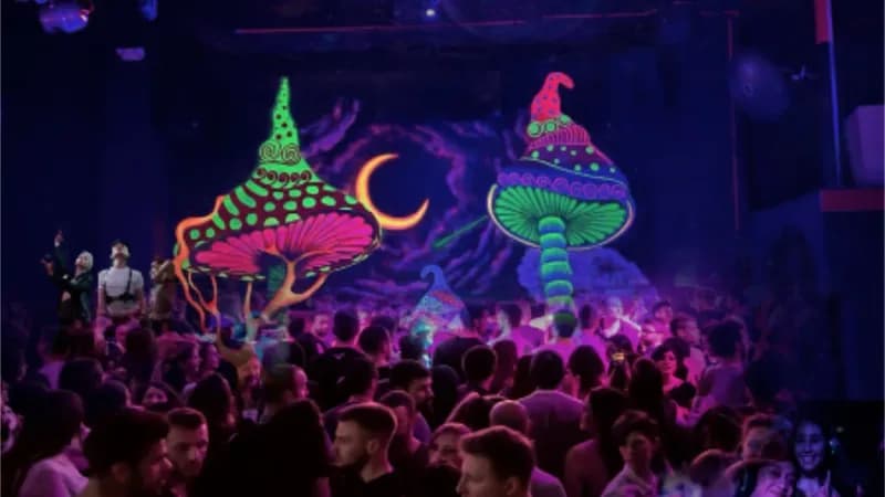 Toxic Night Club