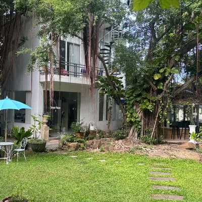 Banyan House Samui bed and breakfast