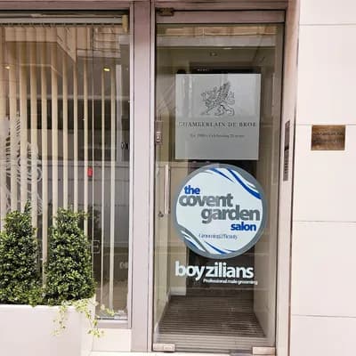 Boyzilians