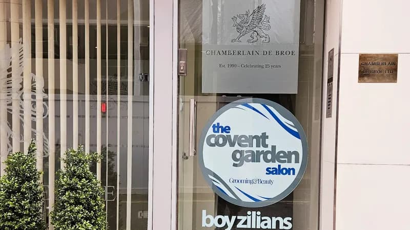 Boyzilians
