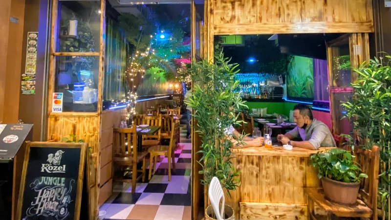 The Jungle