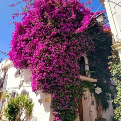Hotel La Villa Marbella