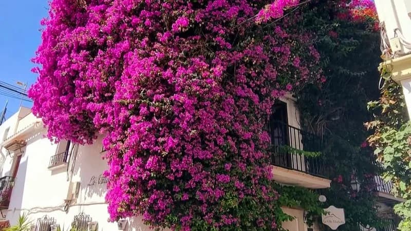 Hotel La Villa Marbella