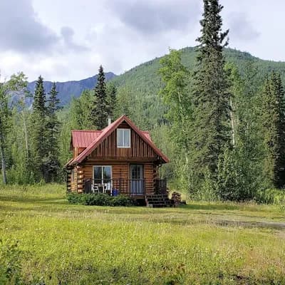 McCarthy Cabins