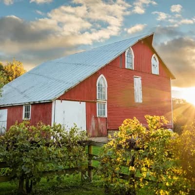 Galena Cellars Vineyard