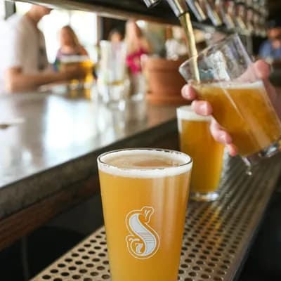 Seventh Son Brewing Co.