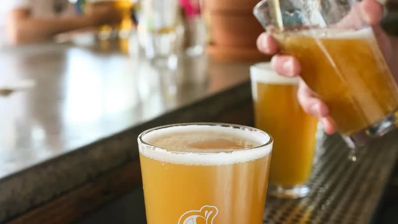 Seventh Son Brewing Co.