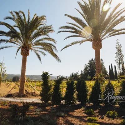 Raymond Vineyards