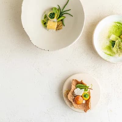 Pieter-Jan Lint - Plantbased Fine Dining