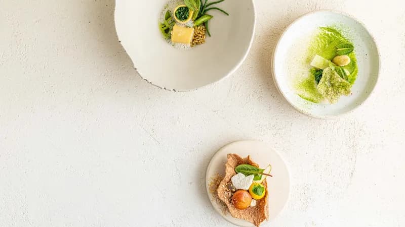 Pieter-Jan Lint - Plantbased Fine Dining