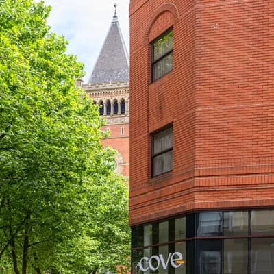 Cove - Minshull Street, Piccadilly