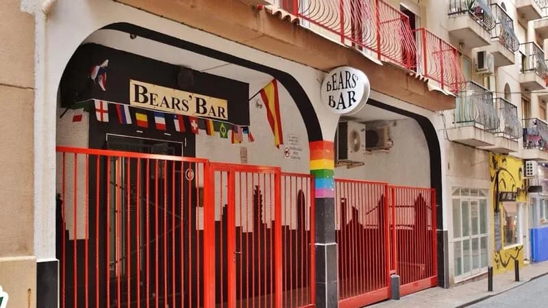 Bears' Bar