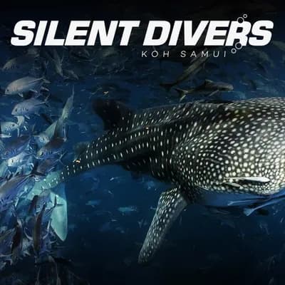 Silent Divers | Diving Koh Samui | PADI 5-Star Dive Center | PADI Courses & Diving Tours Koh Samui