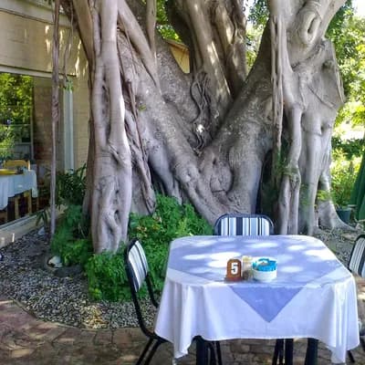 Lindy's Table on Leisure Island