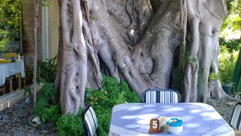 Lindy's Table on Leisure Island