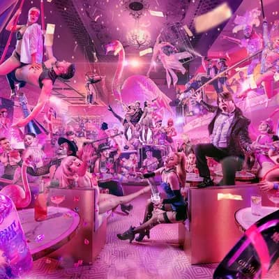 Pink Flamingo Spiegelclub - Gold Coast Attractions