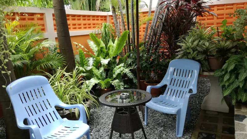 Lonops Paradise