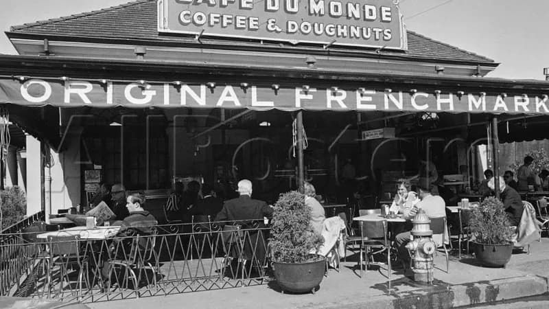 Cafe Du Monde