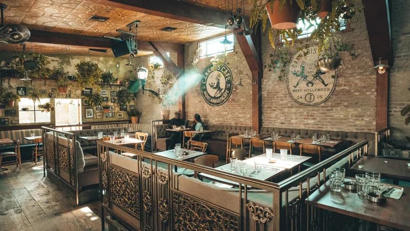 Cannabis Cafe
