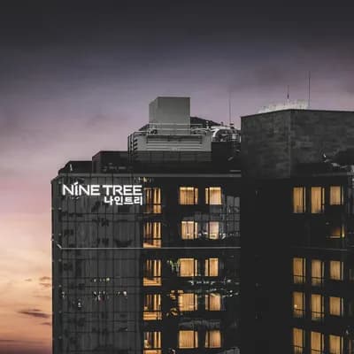 Nine Tree by Parnas Seoul Insadong
