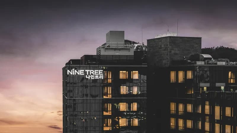 Nine Tree by Parnas Seoul Insadong