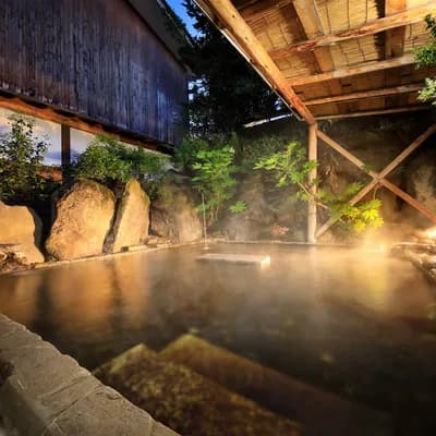 Yudanaka Onsen Seifuso