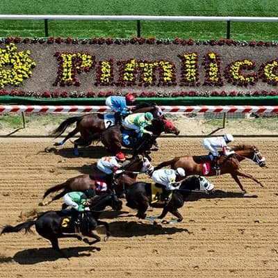 Pimlico Race Course
