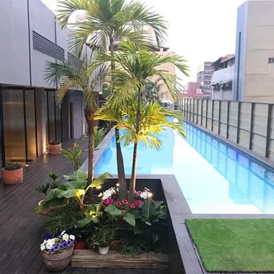 The tree house 樹屋旅店