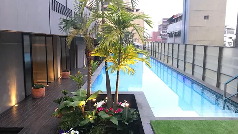 The tree house 樹屋旅店