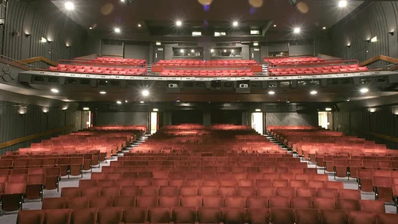 Peacock Theatre