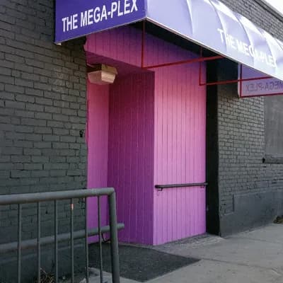 The Mega-Plex