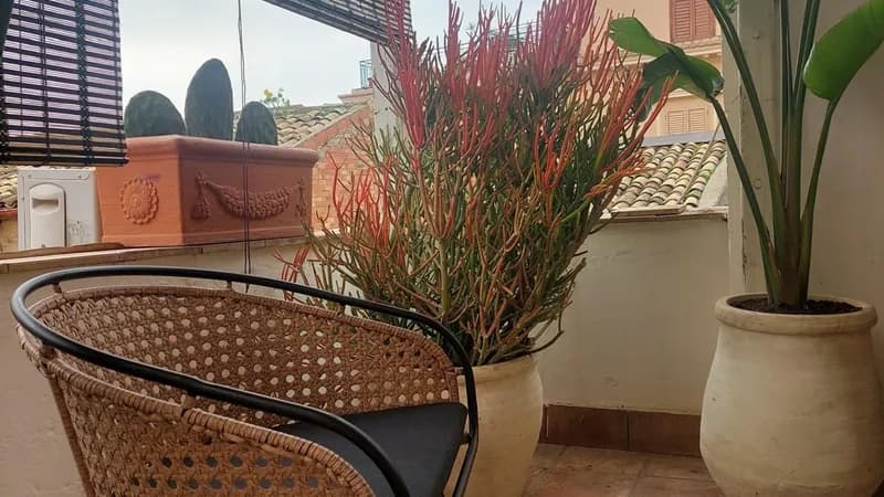 Camere a Sud