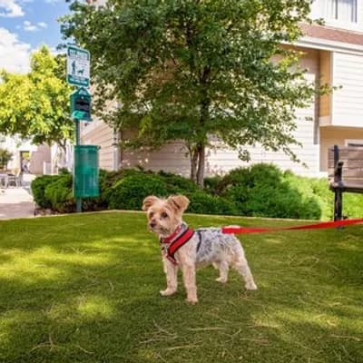 Residence Inn Denver Downtown